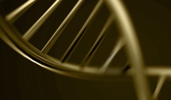 golden-dna-_info.jpg